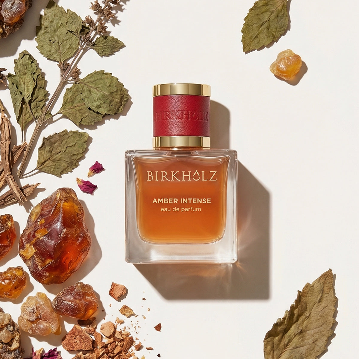 birkholz-amber-intense-eau-de-parfum-classic-collection-unisex image 2