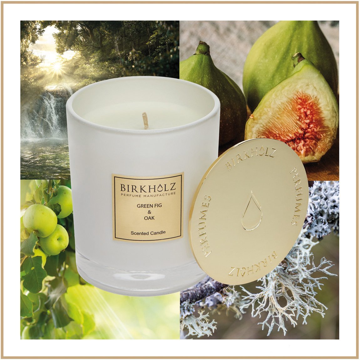 birkholz-green-fig-oak-duftkerze-classic-collection image 2