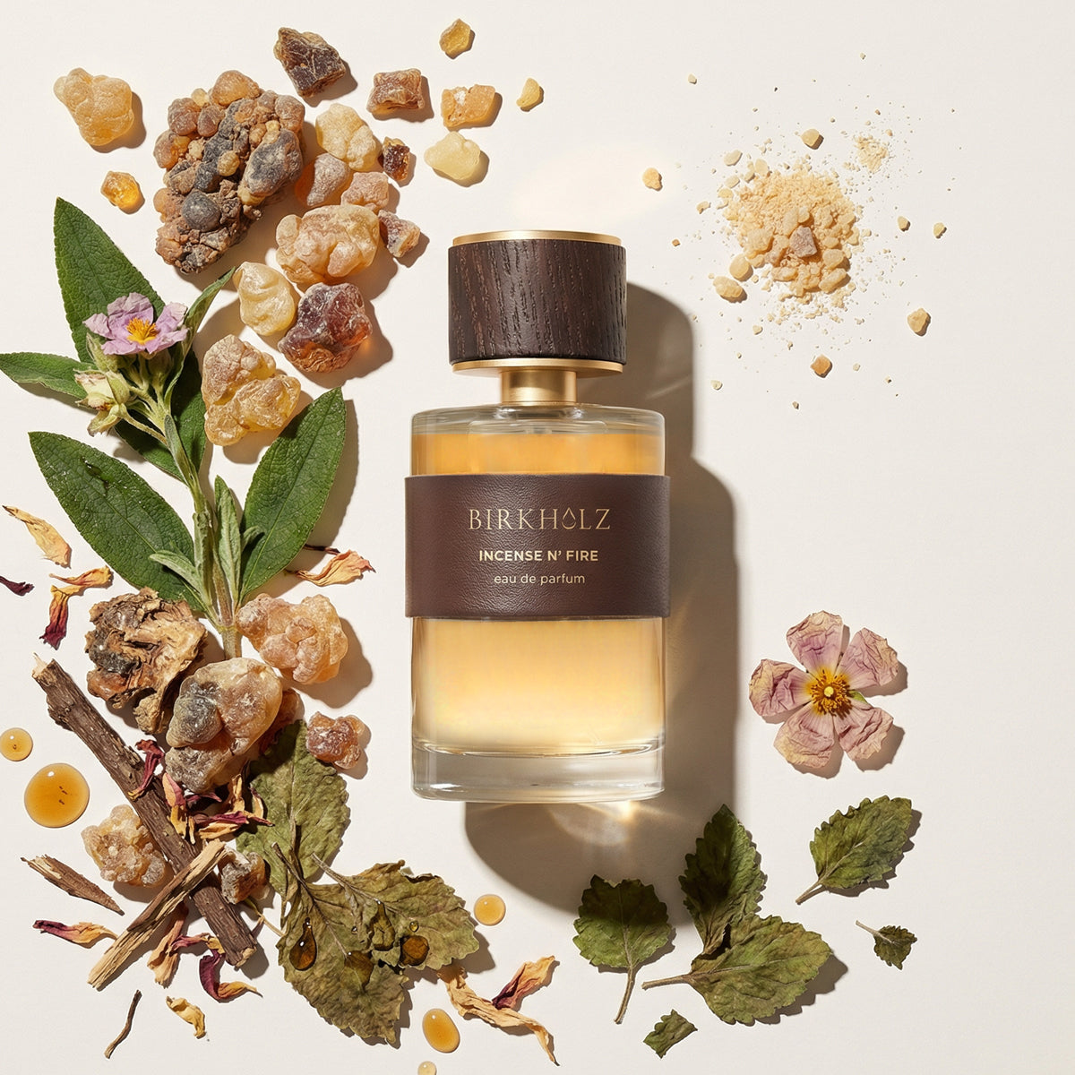 birkholz-incense-n-fire-eau-de-parfum-woody-collection image 2
